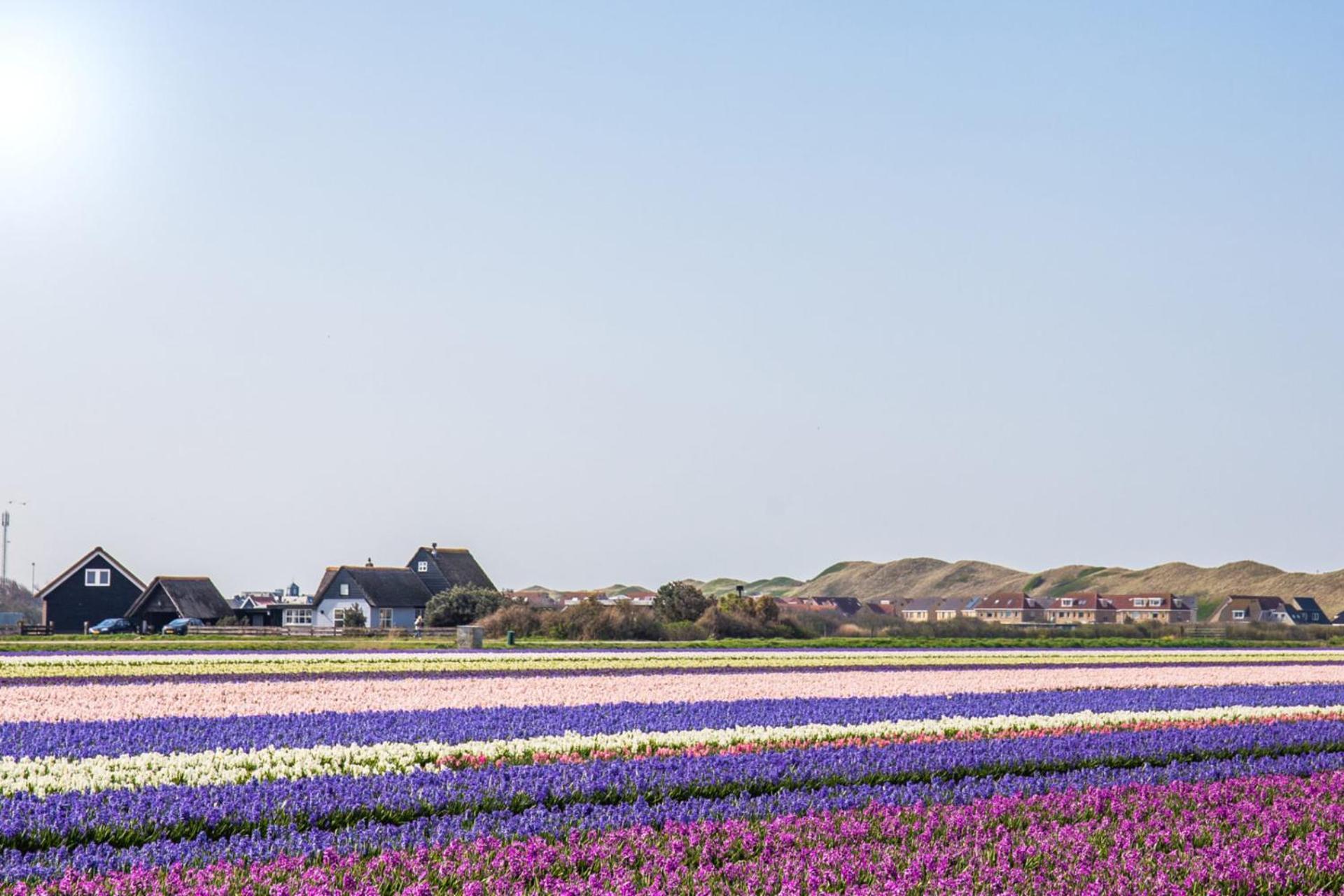 Beach Appartement 14 - Aan De Duinen, Callantsoog Aan Zee Eksteriør bilde