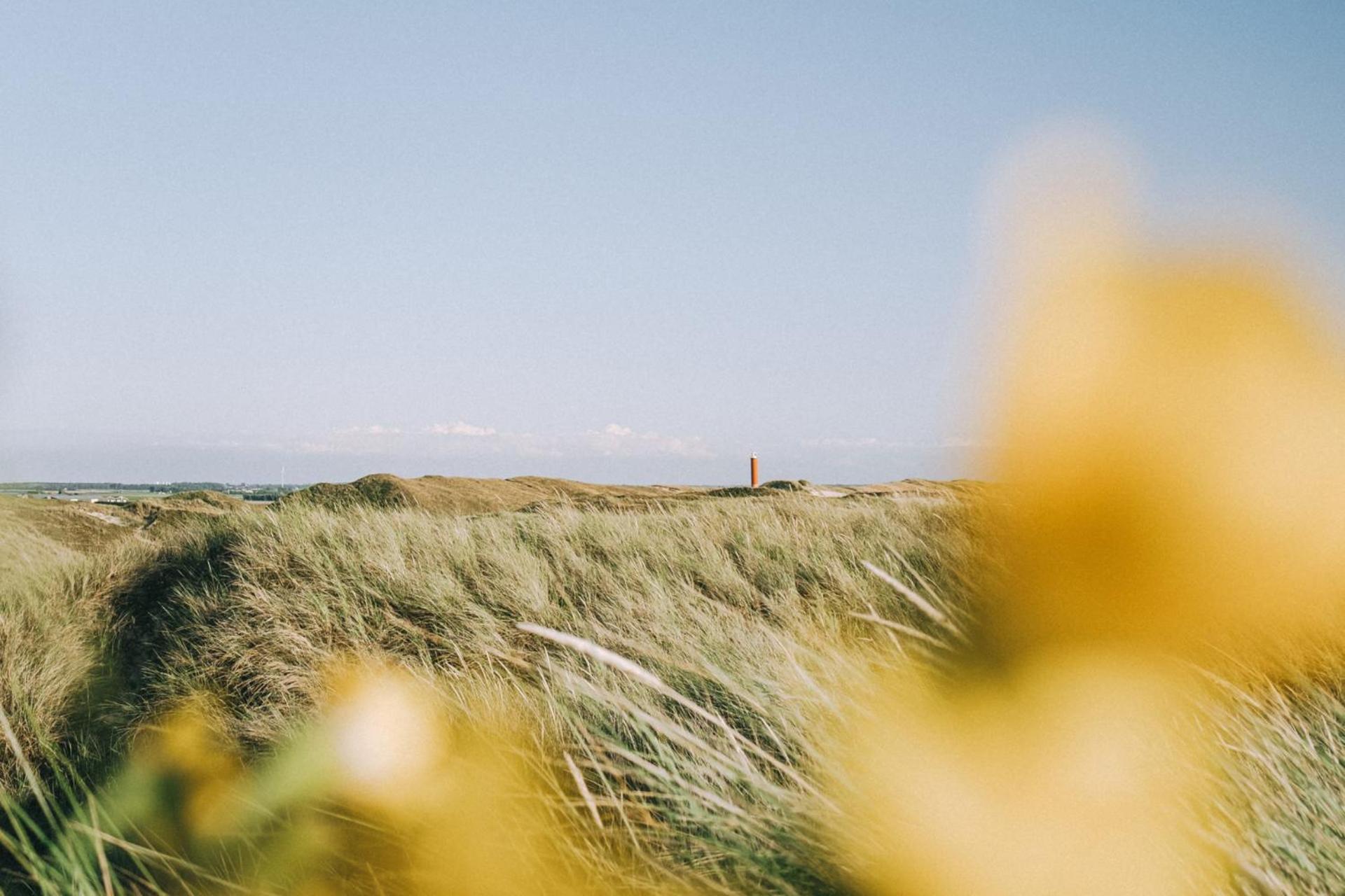 Beach Appartement 14 - Aan De Duinen, Callantsoog Aan Zee Eksteriør bilde